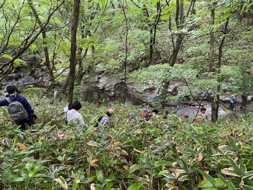 행사 관련 사진 6