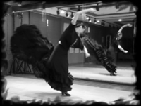 행사 관련 사진 4