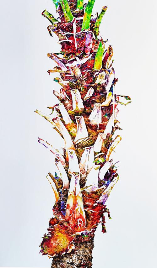 행사 관련 사진 12