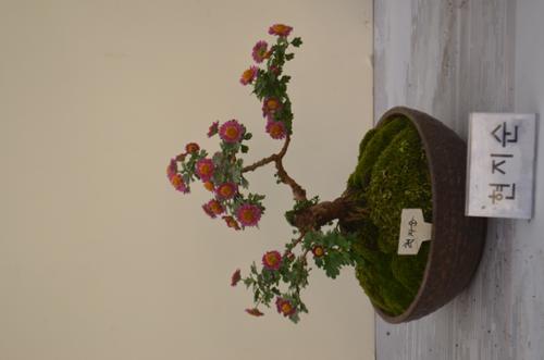 행사 관련 사진 16