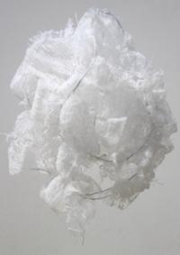 행사 관련 사진 3