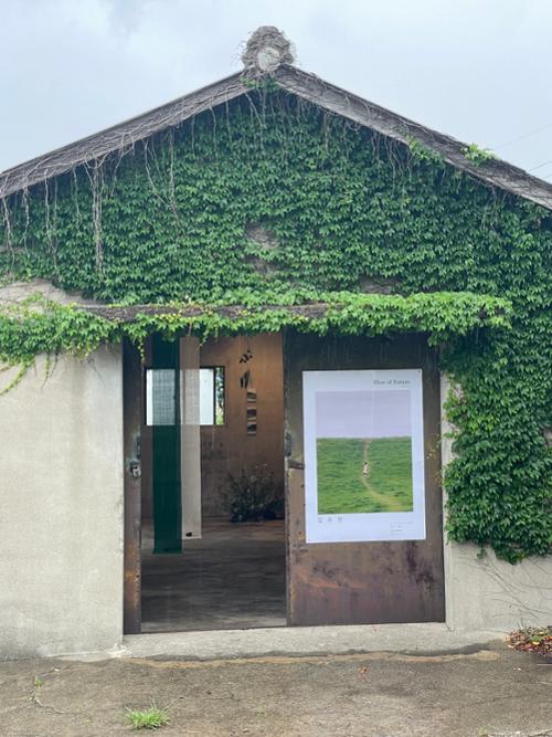 행사 관련 사진 5