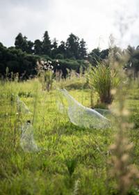 행사 관련 사진 3