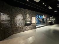 행사 관련 사진 3