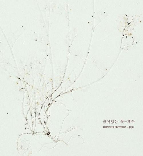 행사 관련 사진 1