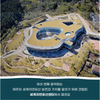 행사 관련 사진 4