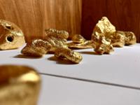 행사 관련 사진 10