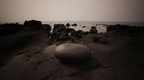 행사 관련 사진 1