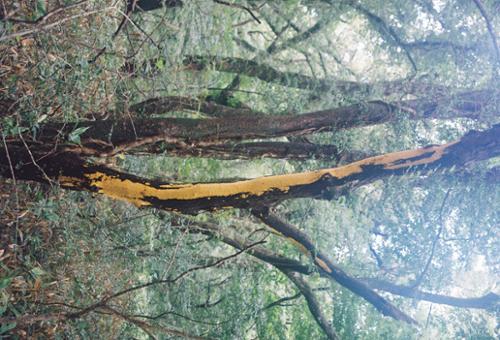 행사 관련 사진 2