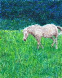 행사 관련 사진 16