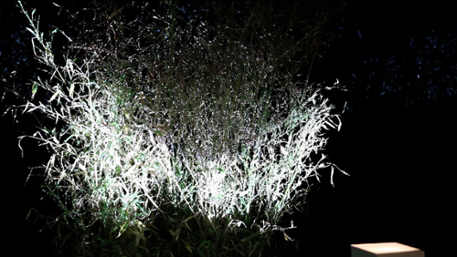 행사 관련 사진 1