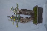 행사 관련 사진 4