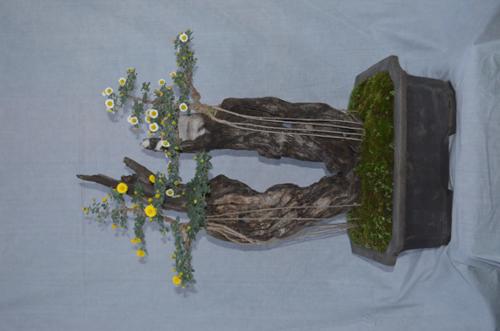 행사 관련 사진 4