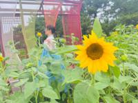 행사 관련 사진 11