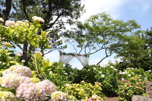 행사 관련 사진 4