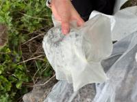 행사 관련 사진 5