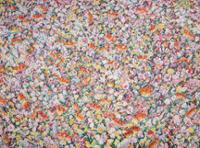 행사 관련 사진 1