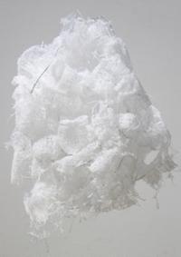 행사 관련 사진 12