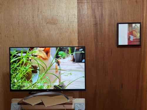 행사 관련 사진 4