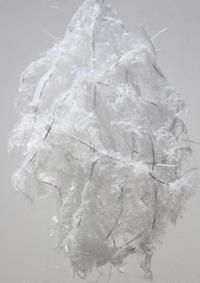 행사 관련 사진 10