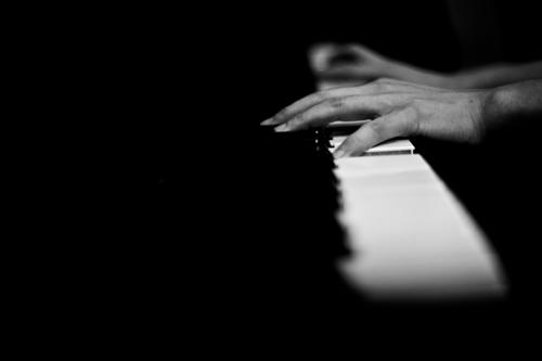 행사 관련 사진 2