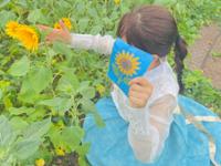 행사 관련 사진 6