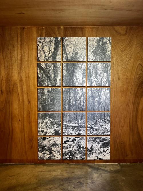 행사 관련 사진 7