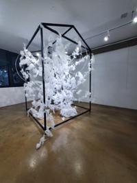 행사 관련 사진 3