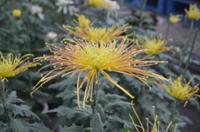 행사 관련 사진 1