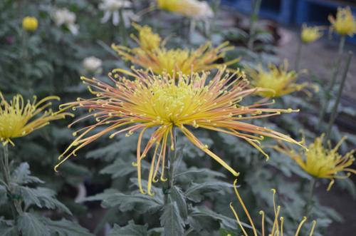 행사 관련 사진 1