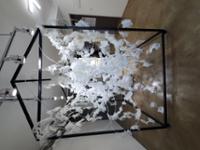 행사 관련 사진 5