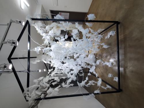 행사 관련 사진 5