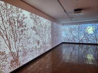 행사 관련 사진 2