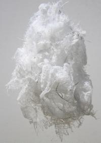 행사 관련 사진 9