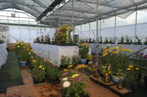 행사 관련 사진 17