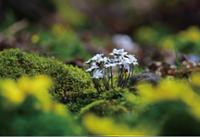 행사 관련 사진 3