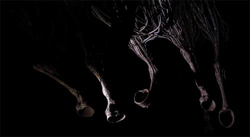 행사 관련 사진 1