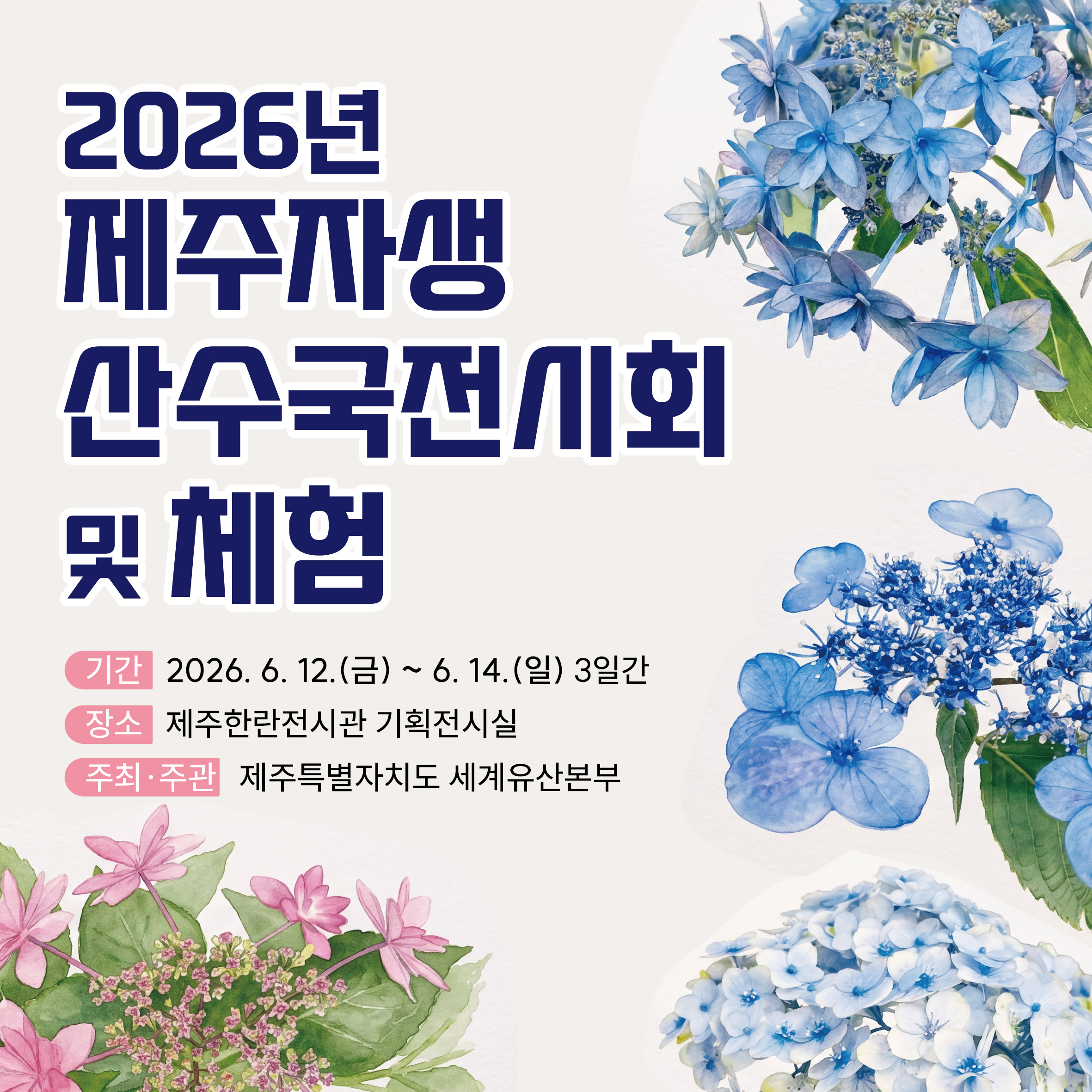 2026년 제주한란전시관 산수국전시회 및 체험프로그램운영