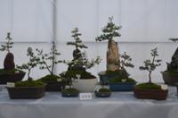 행사 관련 사진 14