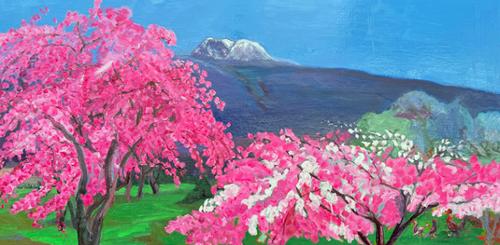 행사 관련 사진 5