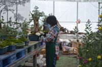 행사 관련 사진 3