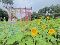 행사 관련 사진 12