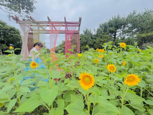 행사 관련 사진 12