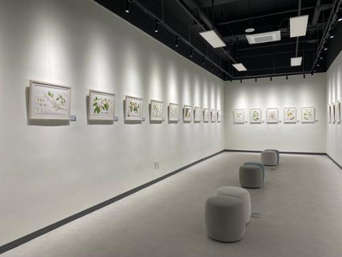 행사 관련 사진 6