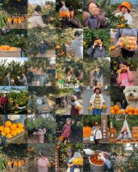 행사 관련 사진 3