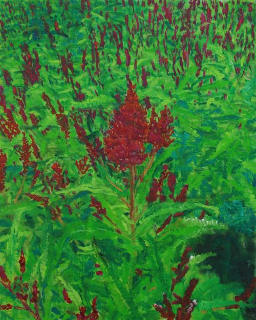 행사 관련 사진 6