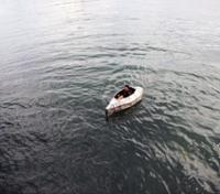 행사 관련 사진 2