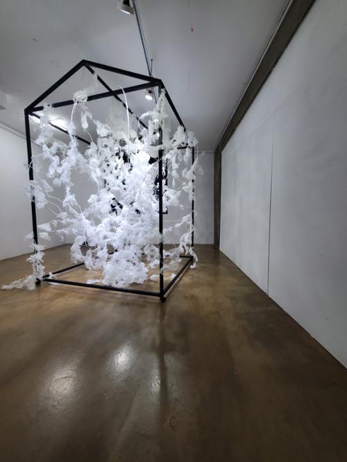 행사 관련 사진 2