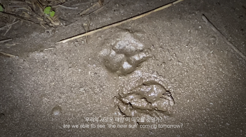 행사 관련 사진 5