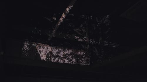 행사 관련 사진 2